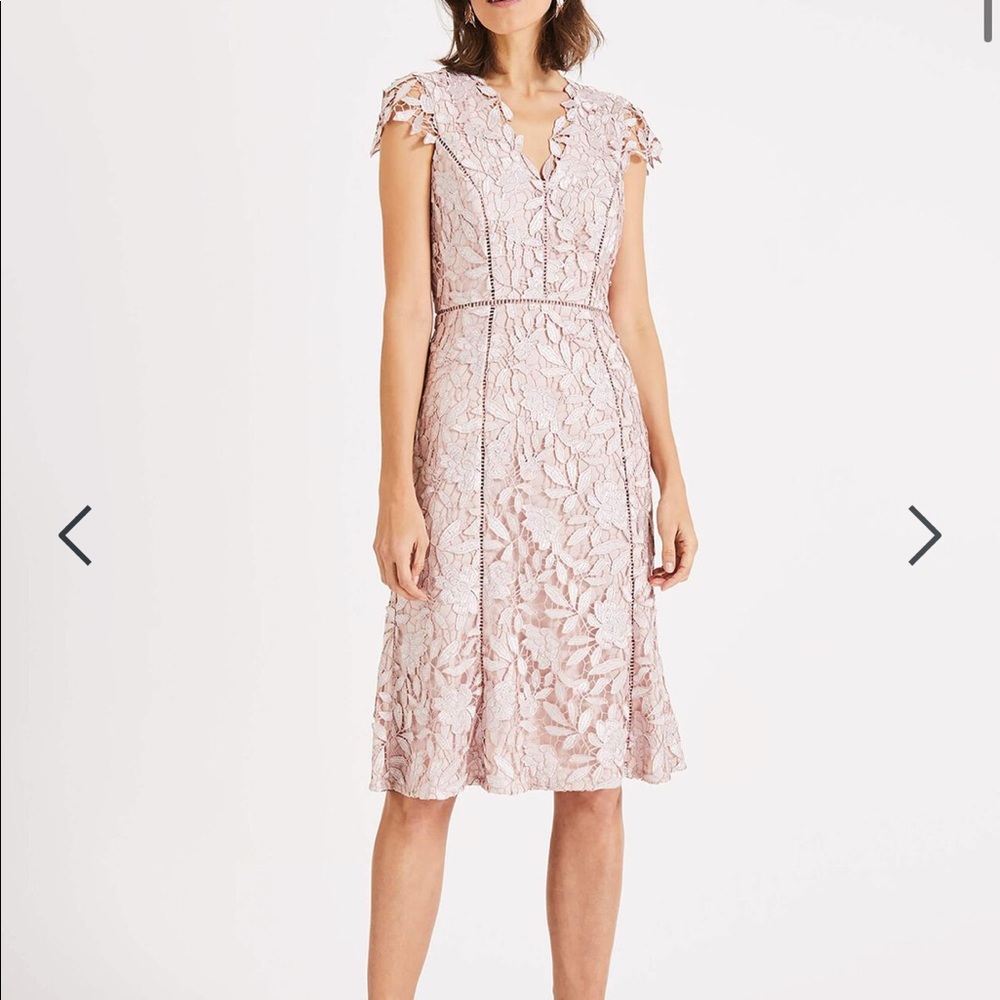 Phase Eight Amaya Lace Dress